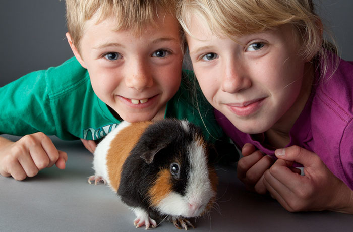 Image de jeunes élèves de l’organisme Earth Rangers